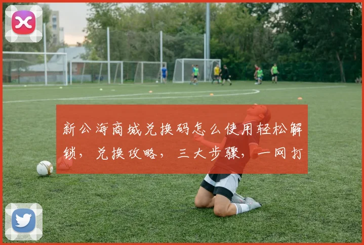 新公海商城兑换码怎么使用轻松解锁，兑换攻略，三大步骤，一网打尽