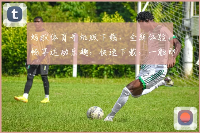 蚂蚁体育手机版下载，全新体验，畅享运动乐趣，快速下载，一触即达，三步搞定