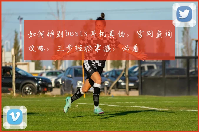 如何辨别beats耳机真伪，官网查询攻略，三步轻松掌握，必看